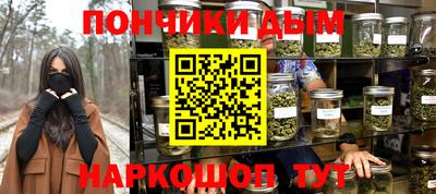 мдпв Новозыбков