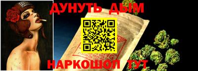 мдпв Новозыбков