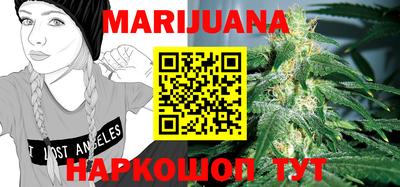 мдпв Новозыбков