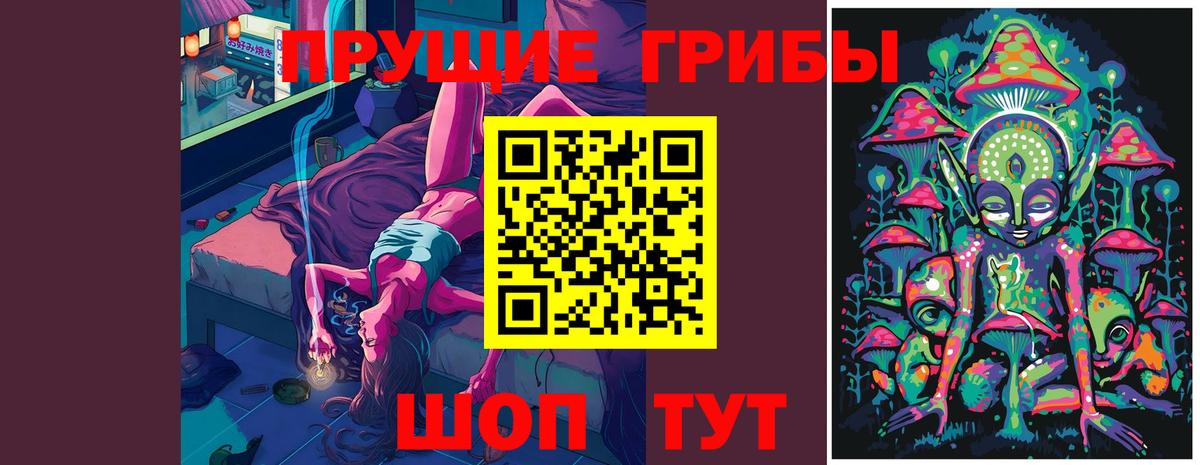 Сухой Лог  Псилоцибиновые грибы Psilocybine cubensis  Вход с VPN 